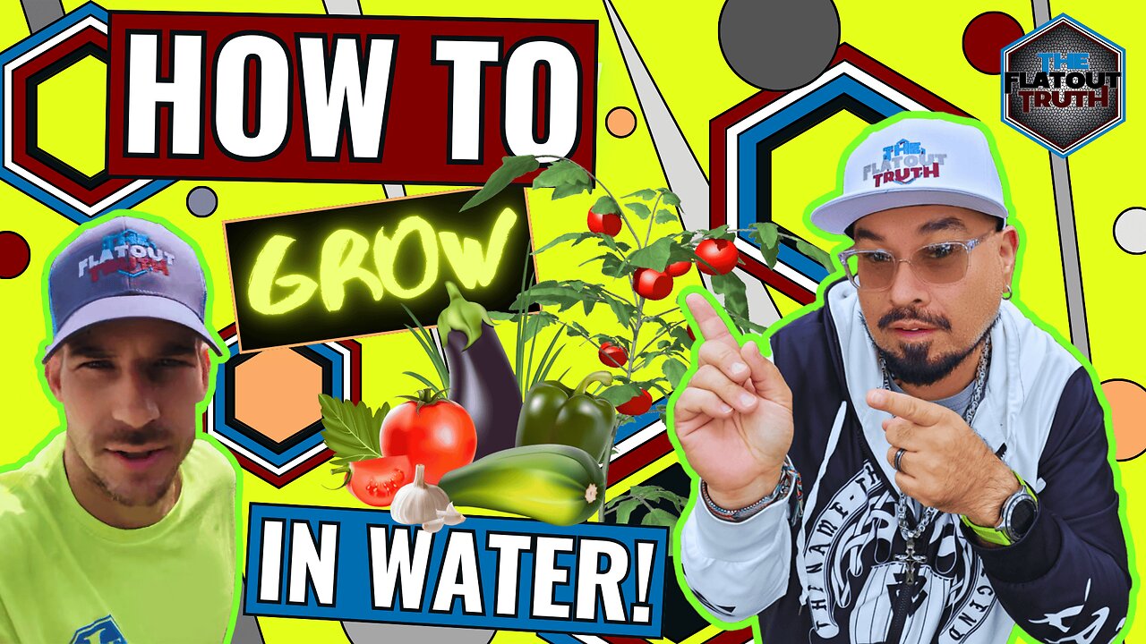 Hydroponics DIY