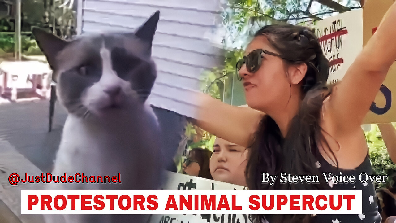 Protestors And Their Spirit Animals Supercut... | Steven Voice Over