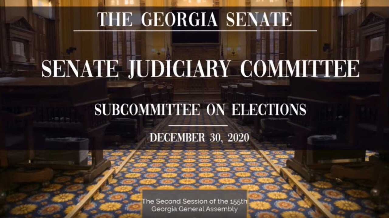 Jovan Hutton Pulitzer is Brilliant at the Georgia Hearing on Election Issues