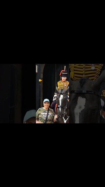 She jumps don't touch the reins #horseguardsparade