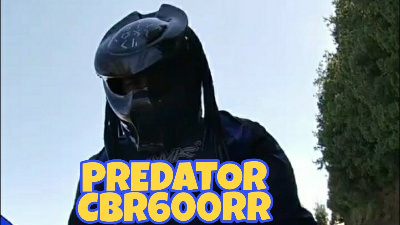 PREDATOR CBR600 RR