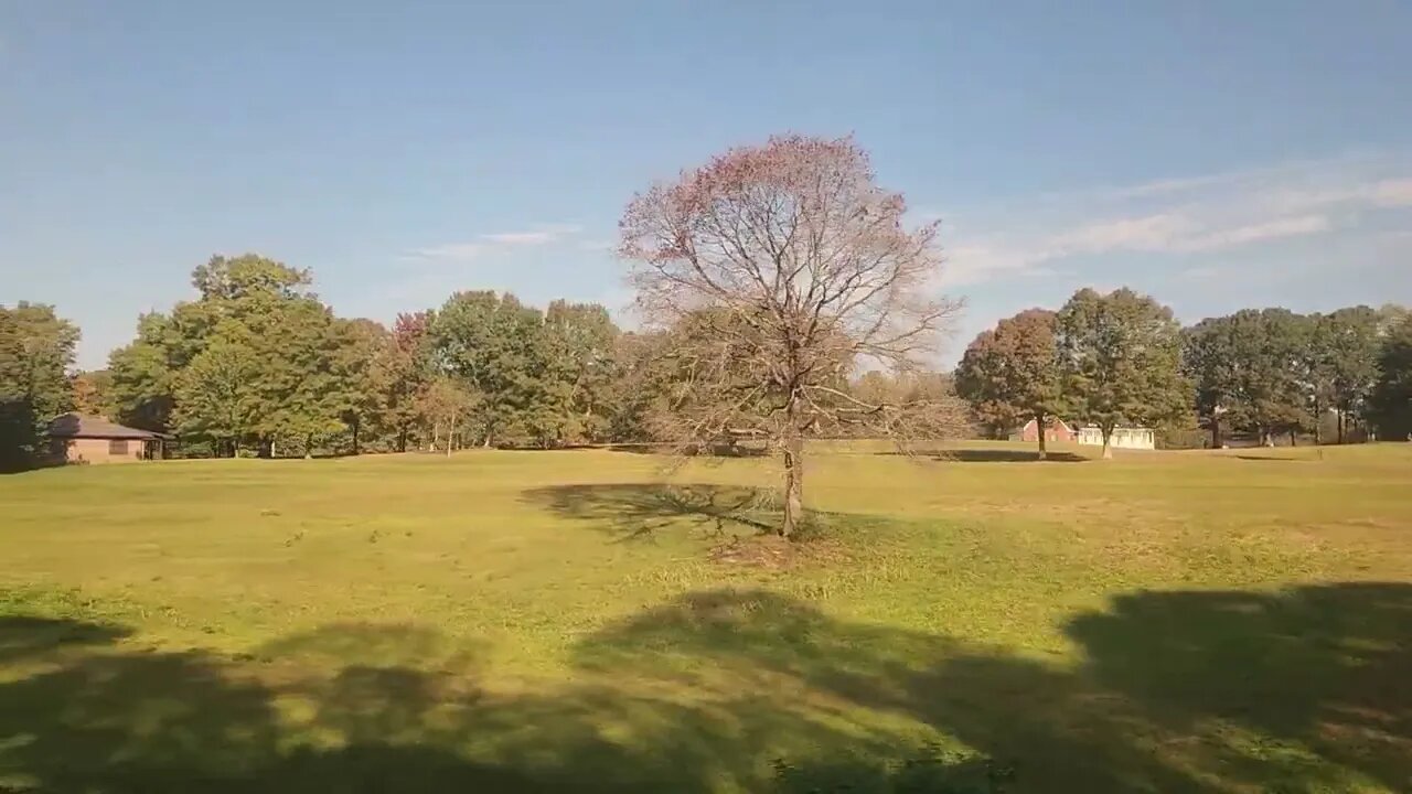 Amtrak Crescent | Temple, Georgia