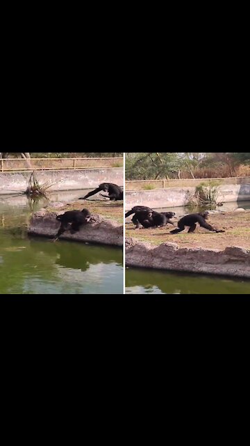 Wait... that's not a toy car