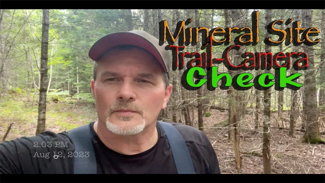 Mineral Site Trail-Camera Check