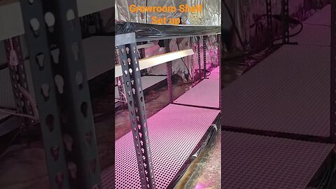 A great grow room shelf set up. Low cost