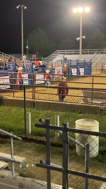 Bull Riding at Rodeo