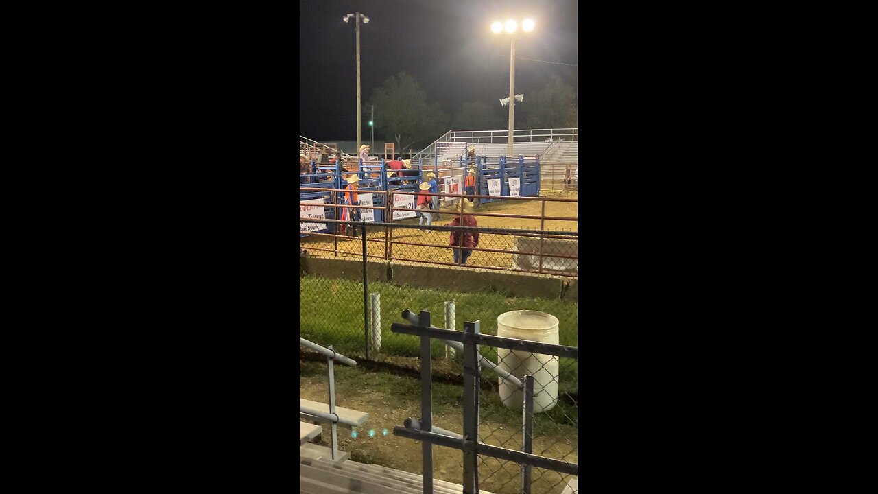 Bull Riding at Rodeo