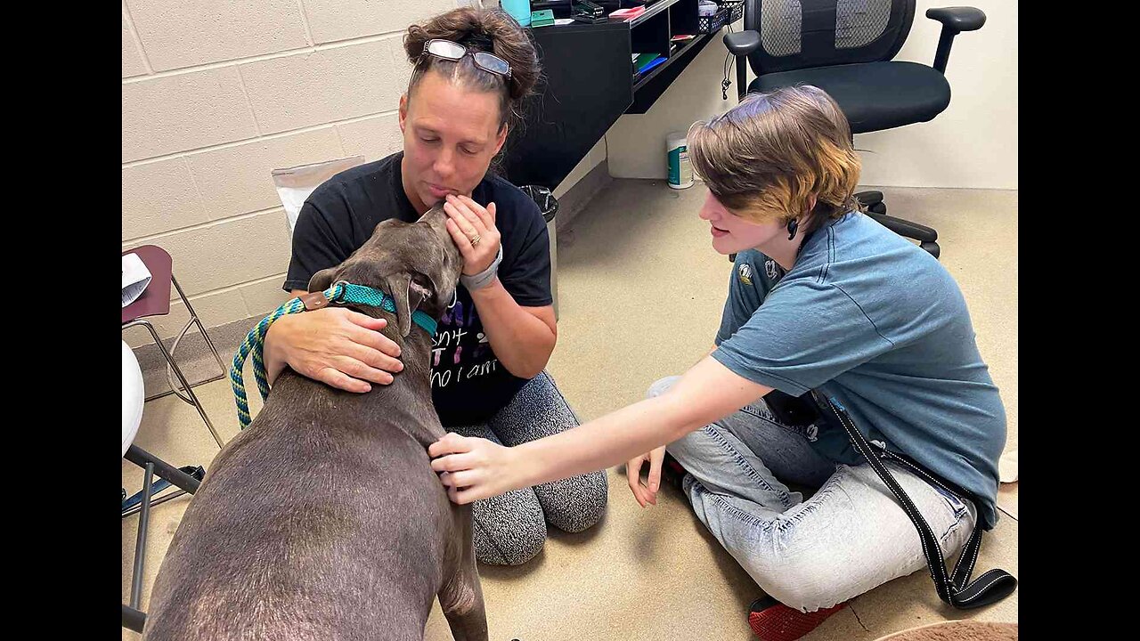 Animals Reunited with Ownes After Years.