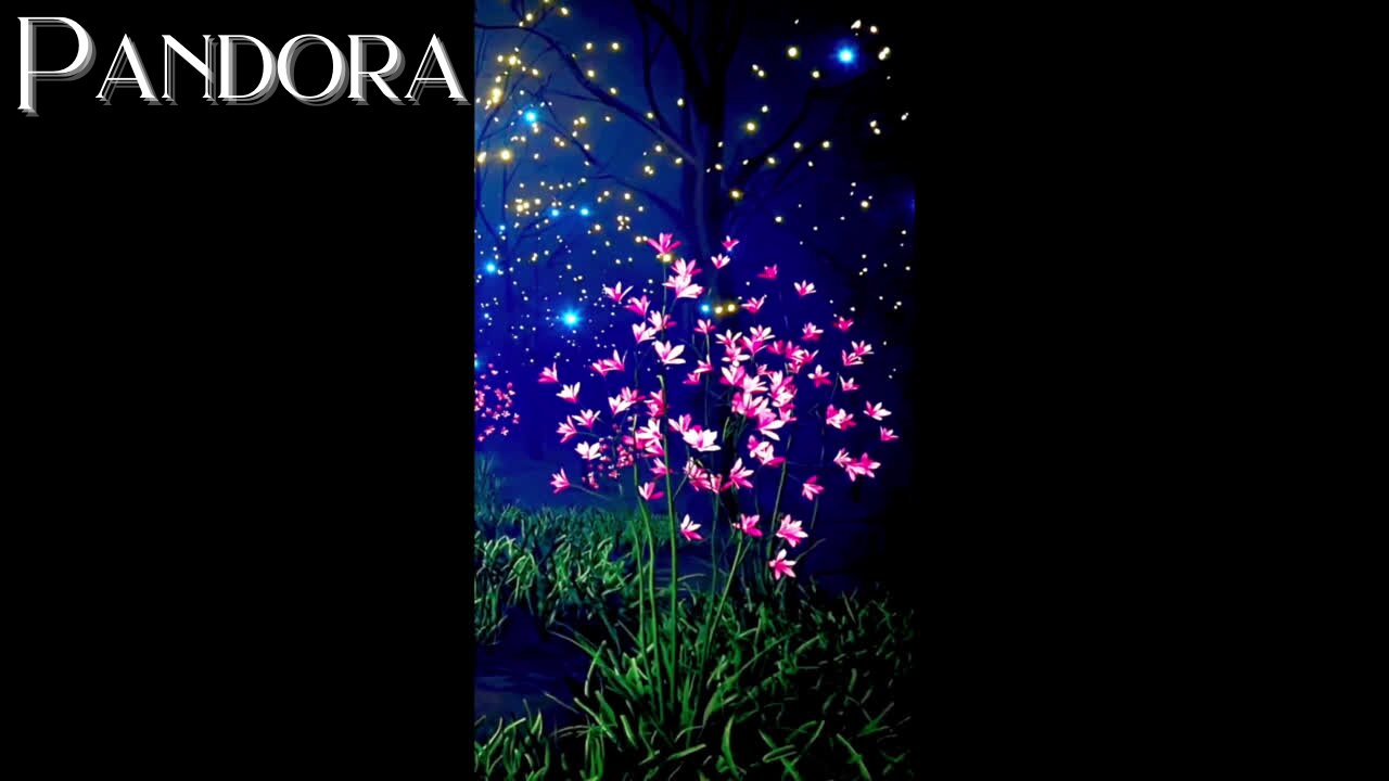 PANDORA, ENCHANTED FOREST, FANTASY FOREST MUSIC, ASMR #enchantedforestmusic #enchantedforest #fantasymusic