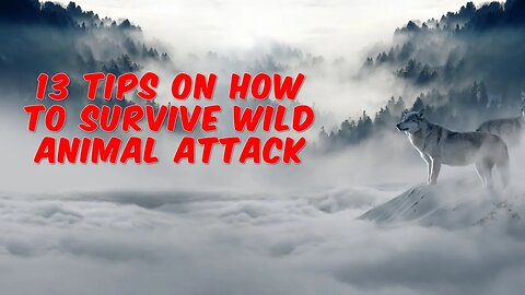 13 Tips on How to Survive Wild Animal Attacks