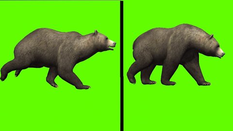 bear green screen | 3d cartoon dear animation green screen video |