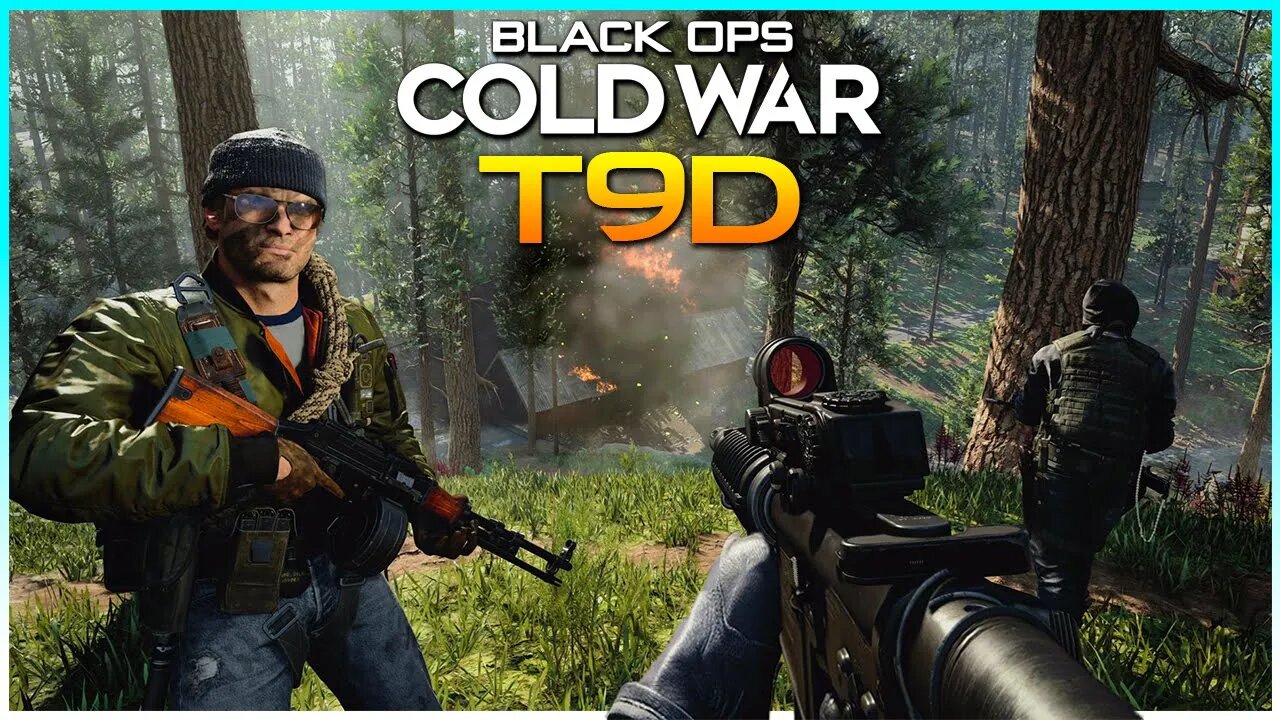 The Black Ops Cold War Modded Client (T9D)