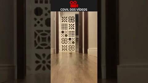 QUANDO COMEÇA O JOGO DO BRASIL