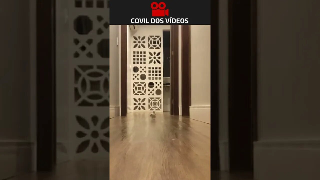 QUANDO COMEÇA O JOGO DO BRASIL