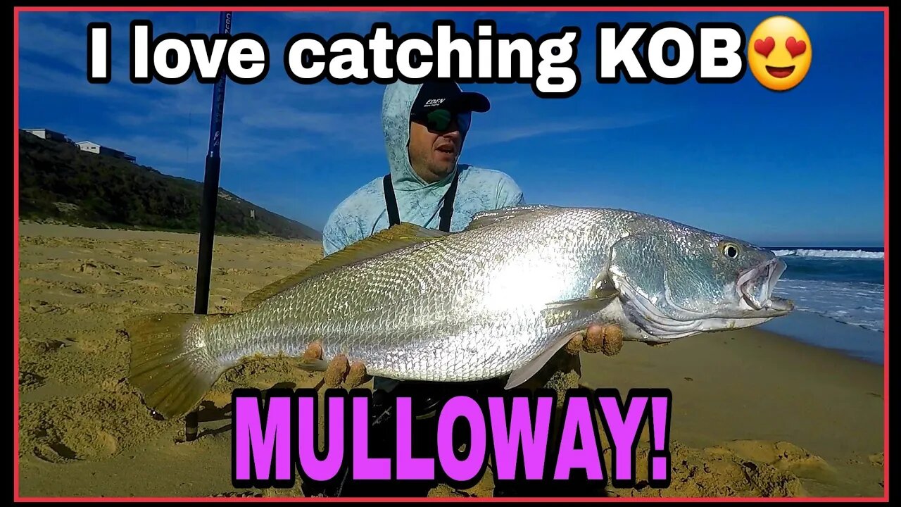 FINDING KOB/MULLOWAY! SEARCHING for EDIBLE FISH!!! EXPLORING new fishing grounds! Bait demo! ZLF