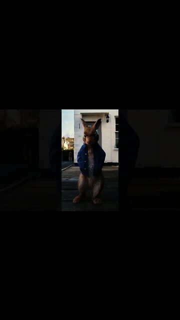 kabhi yaad karega jamana mitti par mar mit | kabhi yaad karega jamana fauji song