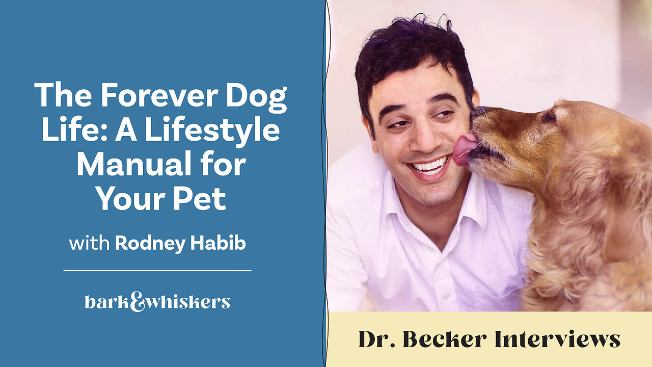 The Forever Dog Life: A Lifestyle Manual for Your Pet