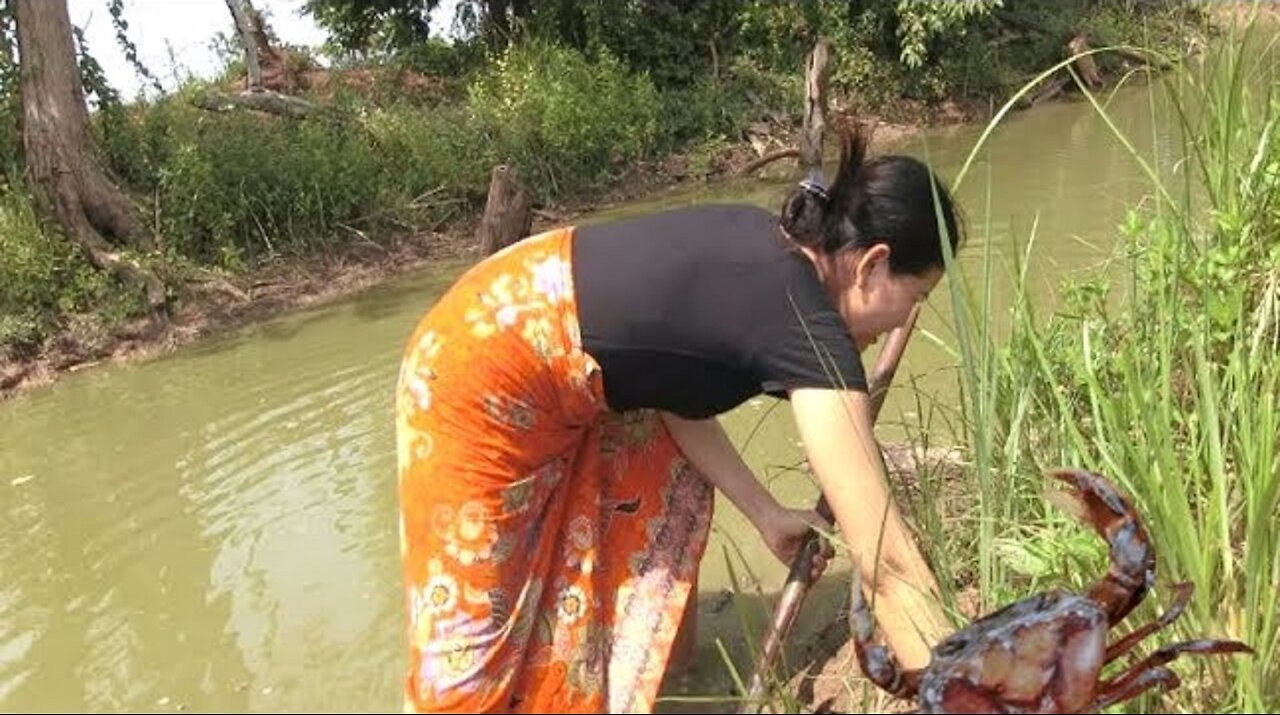 Experiencing crabs on the river during the dry season (My life)