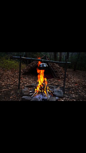 Bushcraft Debris Hut Shelter and Tea brewed in the woods. Survival shelter and Lion's Mane Tea