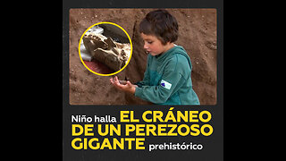 Un niño argentino encuentra en una playa el cráneo de un perezoso gigante de 30.000 años