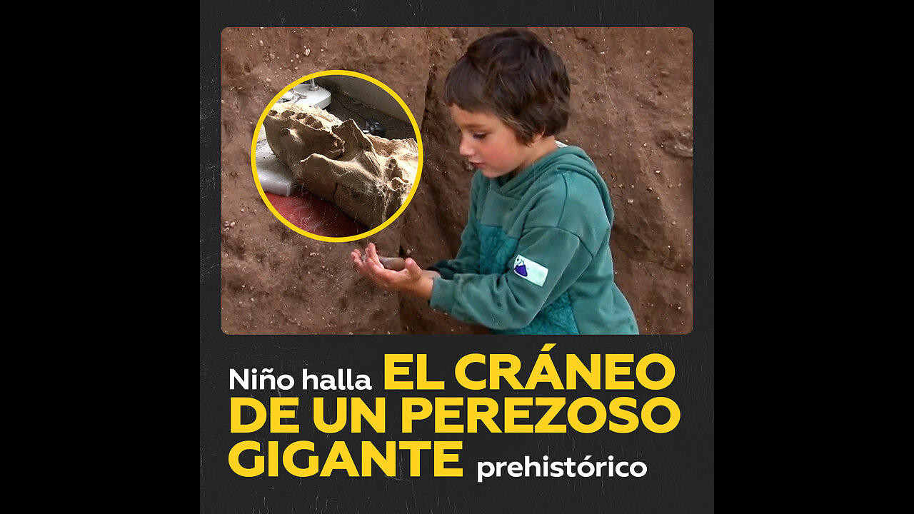 Un niño argentino encuentra en una playa el cráneo de un perezoso gigante de 30.000 años