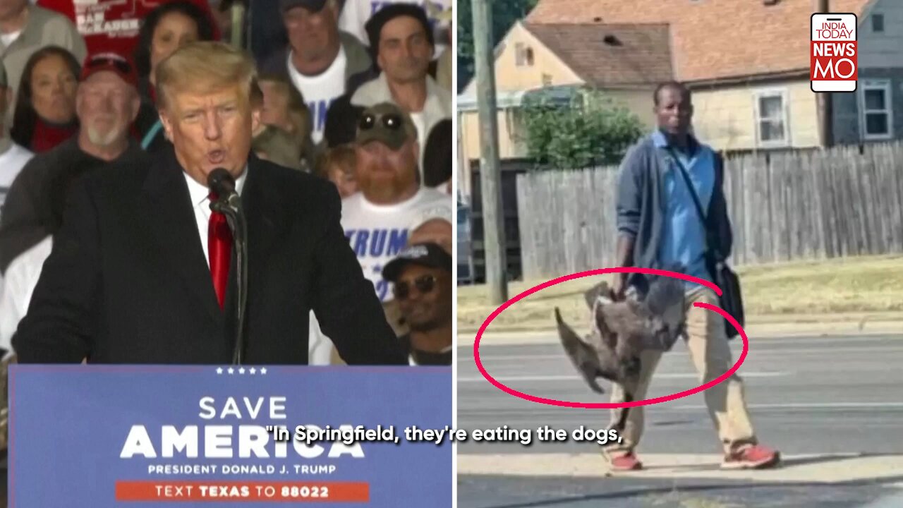 2024 US Presidential Election: Here’s Why Trump Said “They’re Eating The Cats, Dogs…”