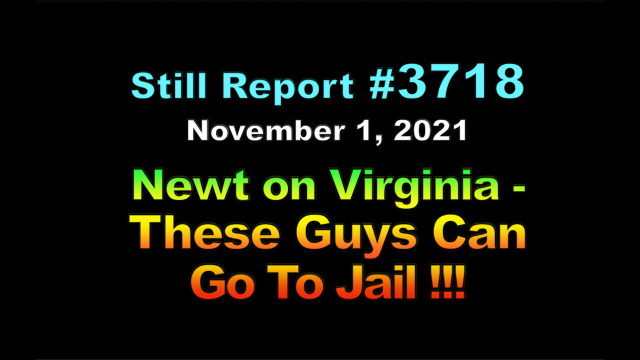 Newt on Virginia – These Guys Can Go To Jail, 3718