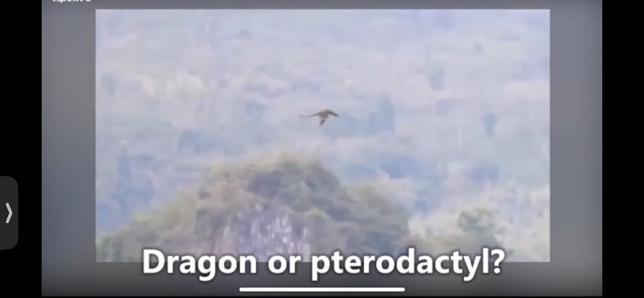 🚨Dragon OR Pterodactyl OR ………….. 🚨 Footage Captured In China 🚨 Circa 2024 🚨