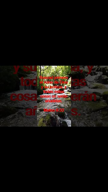 Verso Del Día | Lectura Inspiradora Para Empezar El Día. | 58