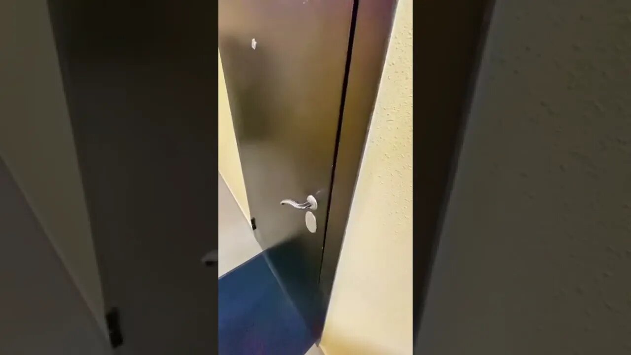 When your dog is just too dang smart. Lol