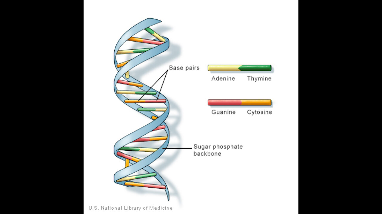 Biotechnology, Genetically Engineered Pathogens