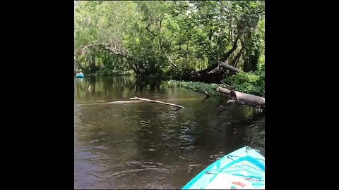 Florida Panfishing