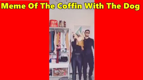 Meme Of The Coffin With The Dog