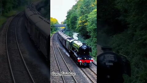 POV Steam Trains || Classic Trains || #short #shorts #train #kereta #keretaapi #locomotive #railway