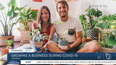 San Diego entrepreneurs start plant delivery business during COVID-19 pandemic