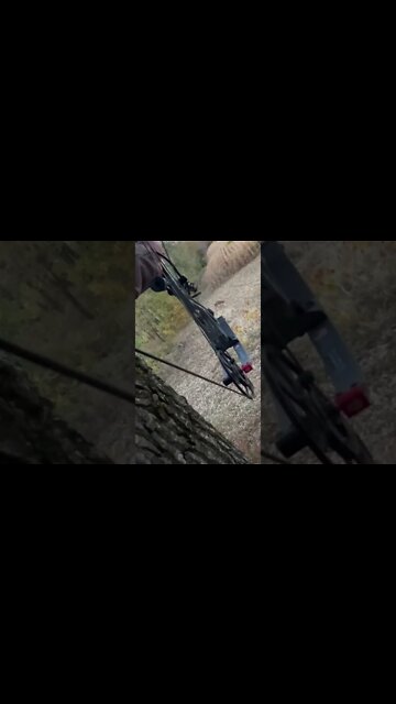 Missouri BOONER Down! (My Biggest Buck To Date!)