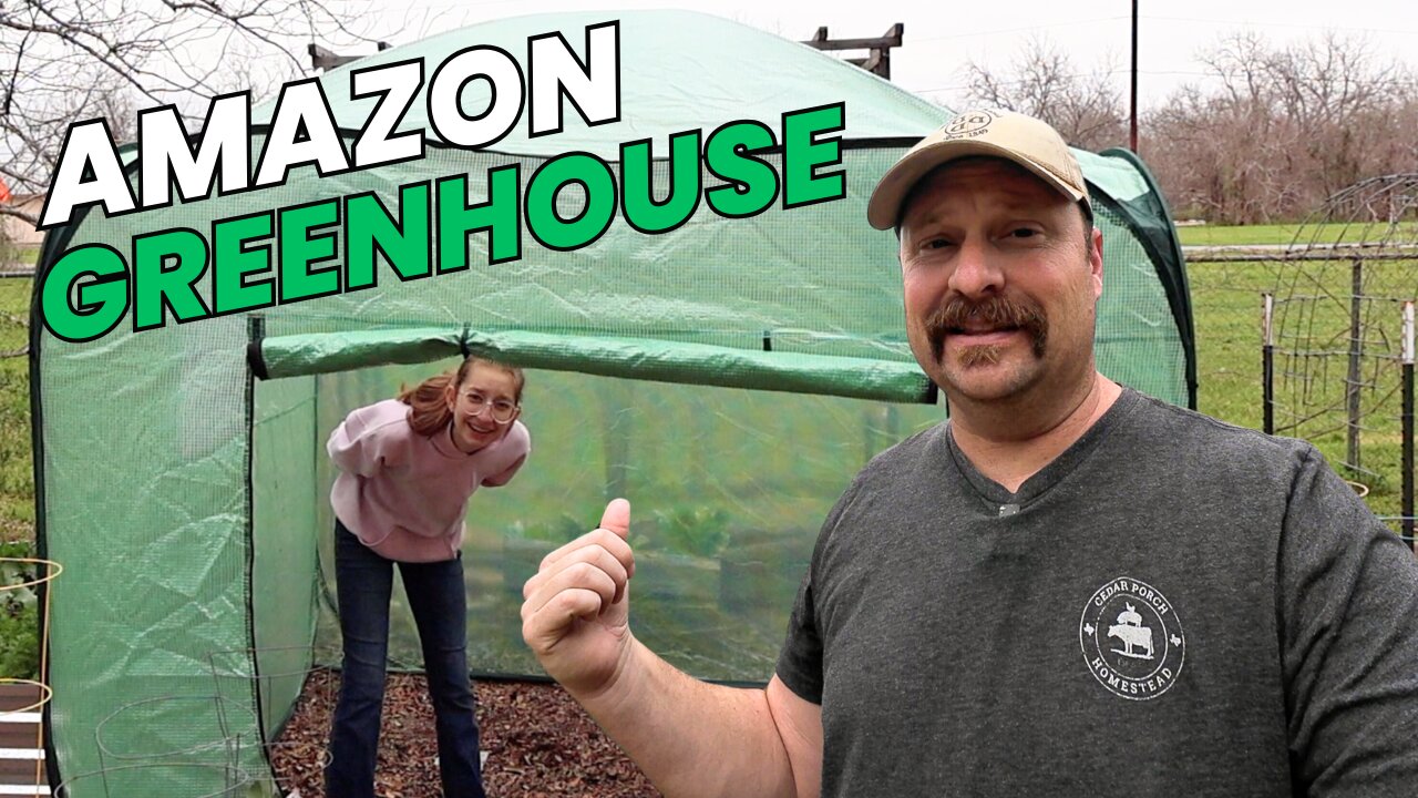 Amazon Greenhouse For The WIN