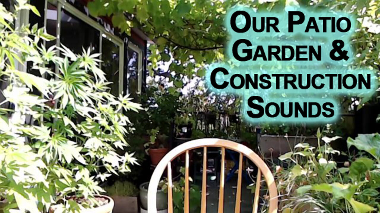 Our Patio Garden & Construction Sounds: Sound of a Truck Backing Up [ASMR Short]