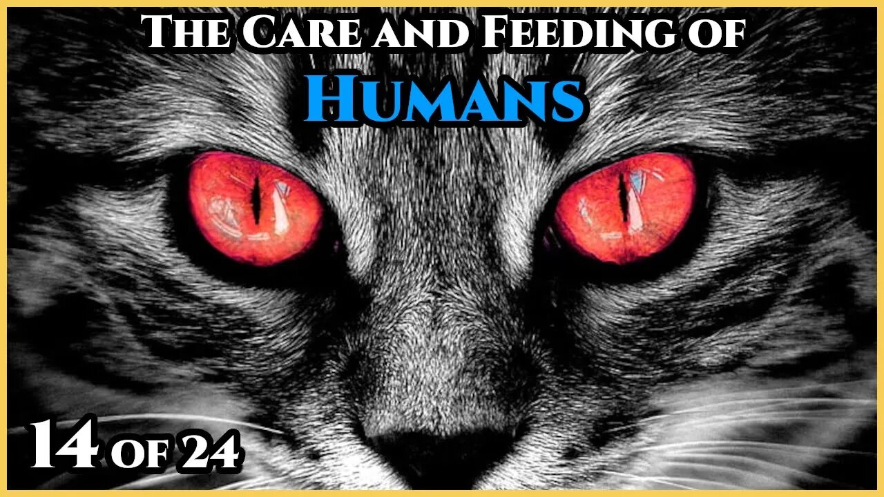 The Care and Feeding of Humans Pt.14 of 24 - Human Companions | Humans are Space Orcs | HFY