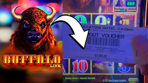 I TRIED EVERYTHING! Buffalo Link Slot Machine High Limit Bets