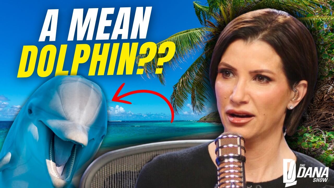 Dana Loesch Shares Her Not-So-Pleasant Dolphin Experience In The Bahamas