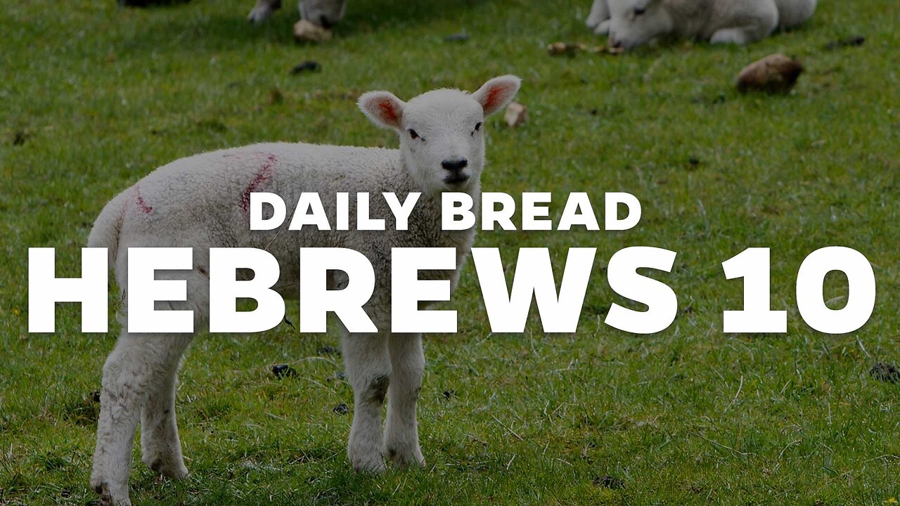 Daily Bread: Hebrews 10