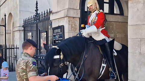 The horse has a plash #horseguardsparade