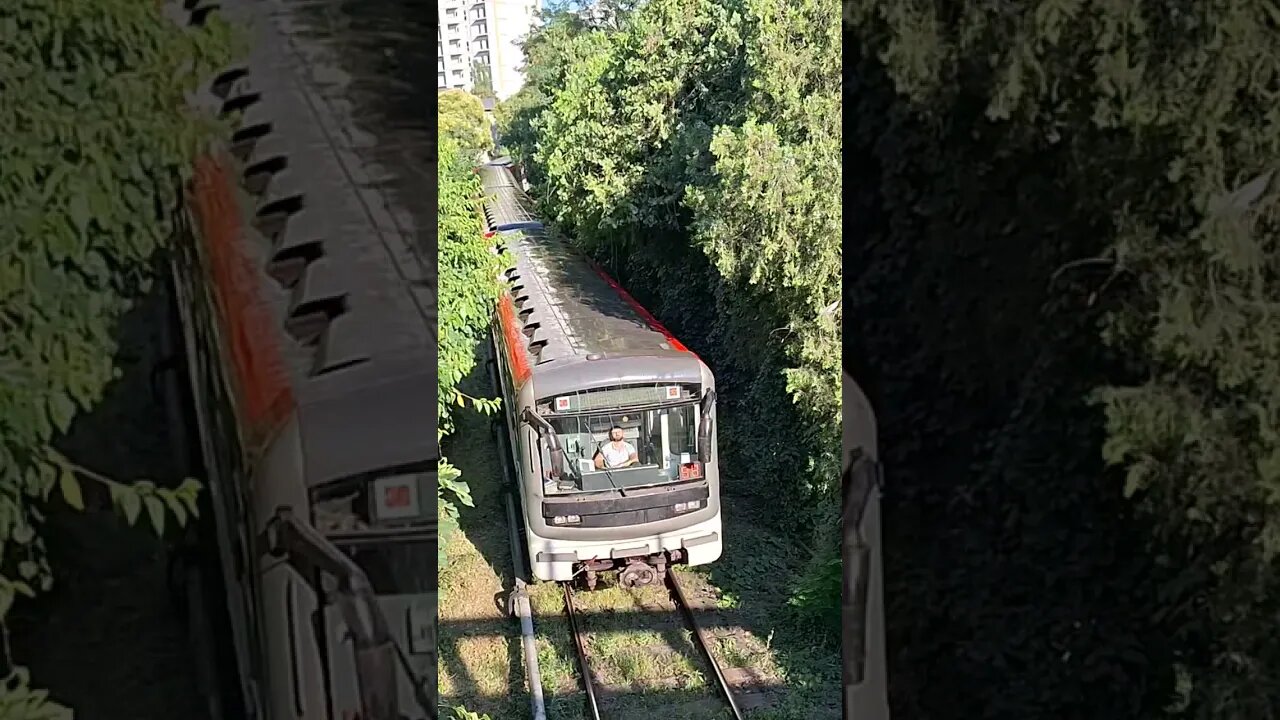 Tbilisi Metro Depot Track #shorts