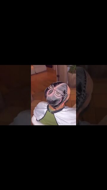 DRAKE GOT AN OWL BRAIDED IN HIS HAIR