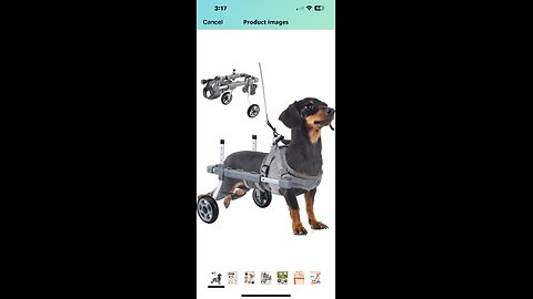 doggy wheelchair