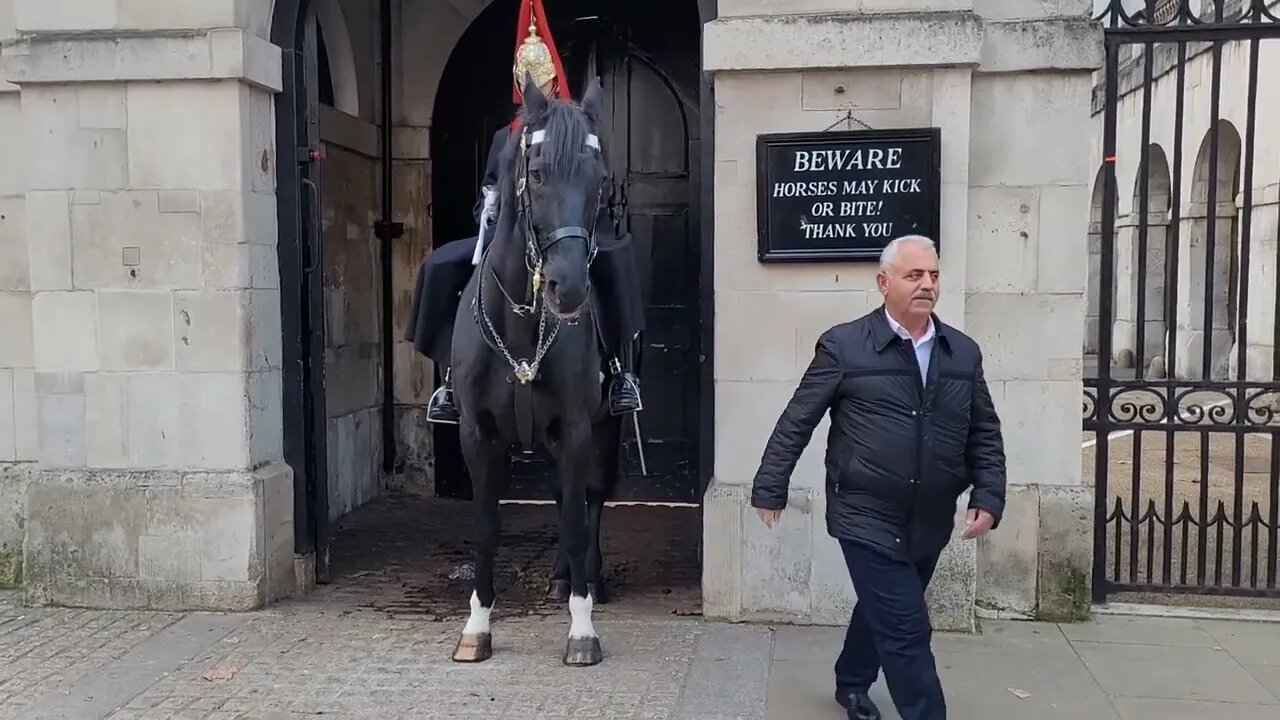 Holding on to the reins #horseguardsparade