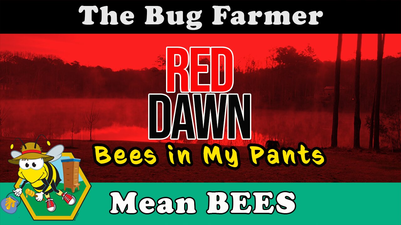 RED DAWN - Bees Attack. Following a string of bad decisions the RED hive delivers a warning.