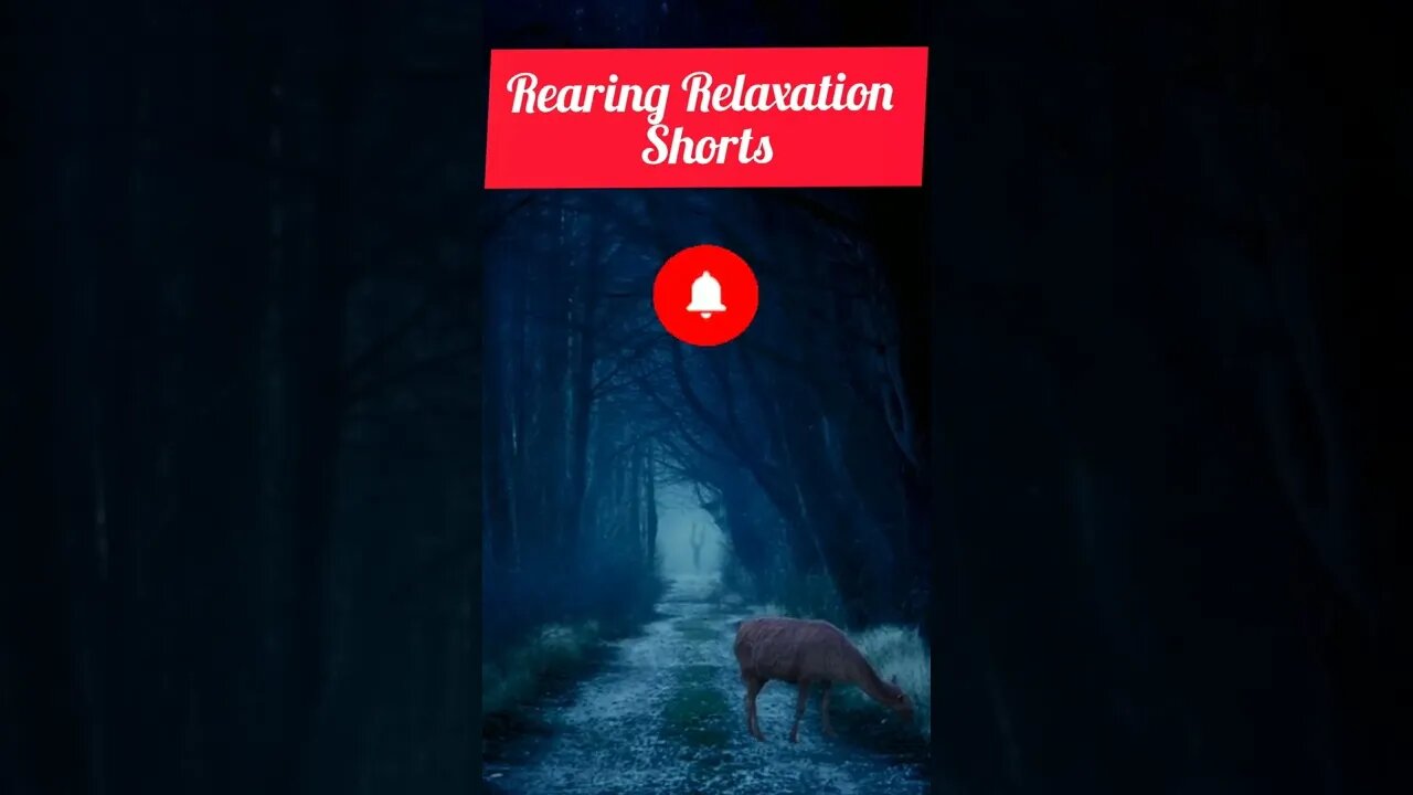 Relaxing Deep Sleep Music ★ Nature Sounds