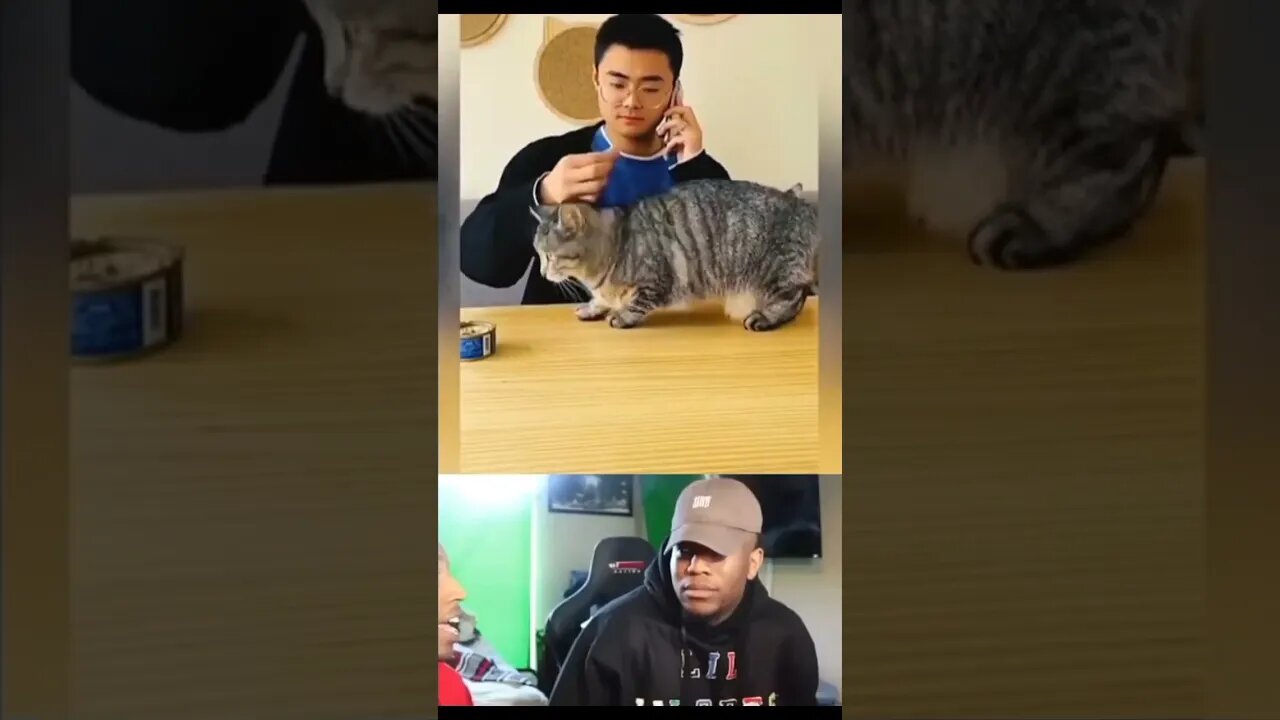 a vida é assim #shorts #comedy #foryou #humor #memes #shortvideo #memesbr #piadas #piada #for